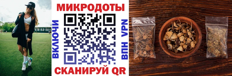 Галлюциногенные грибы GOLDEN TEACHER Купить закладки Нерюнгри